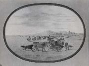 Wild Horses at Play, George Catlin